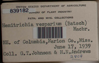 Image Associated With the Occurence
